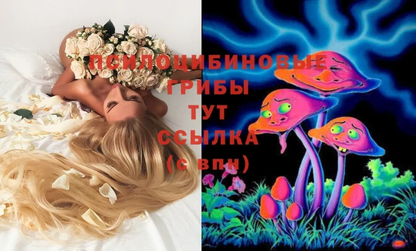 ПСИЛОЦИБИНОВЫЕ ГРИБЫ Алзамай