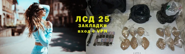 ПСИЛОЦИБИНОВЫЕ ГРИБЫ Алзамай
