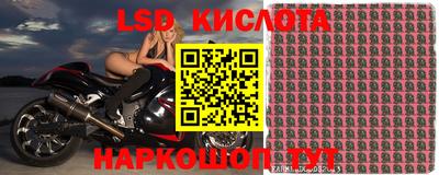 jwh Новокубанск