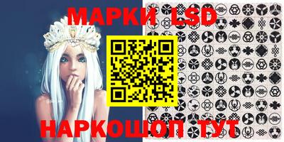 МДПВ Новозыбков