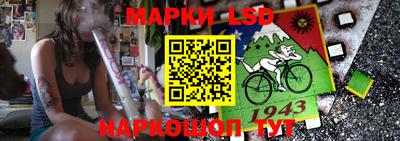 спиды Новодвинск