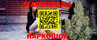 МДПВ Новозыбков
