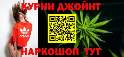 спиды Новодвинск