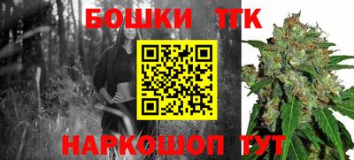 МДПВ Новозыбков