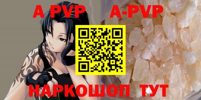спиды Новодвинск