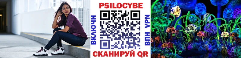 Галлюциногенные грибы Psilocybine cubensis  Тверь 
