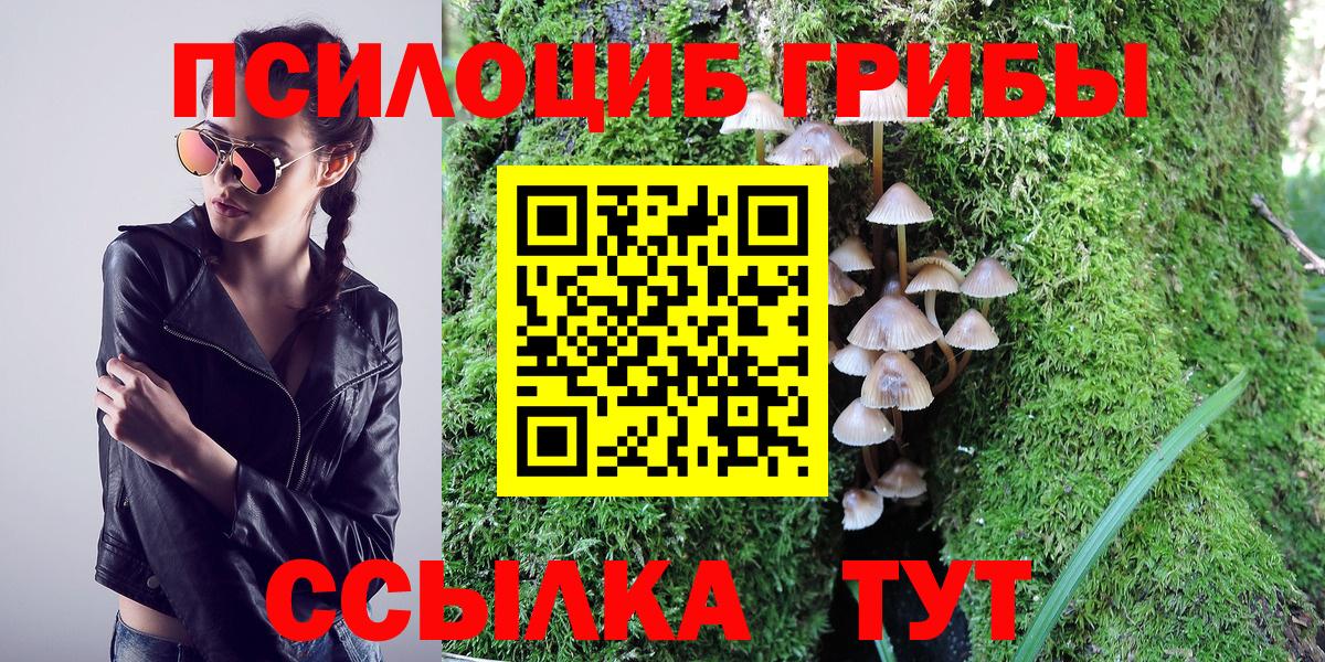 Галлюциногенные грибы Psilocybe  Вход с VPN  что такое   Тверь 