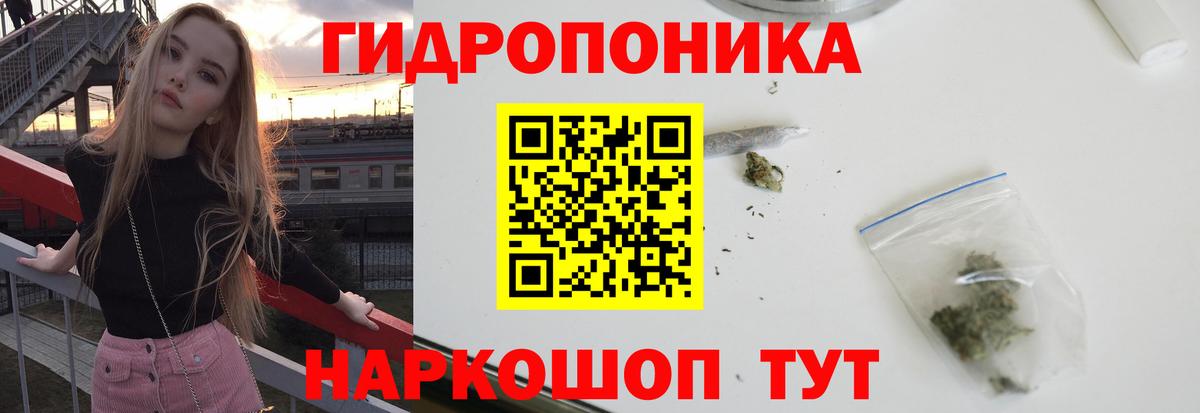 Марихуана конопля  Каннабис марихуана  Тверь  Вход с VPN  Шишки марихуана VHQ 